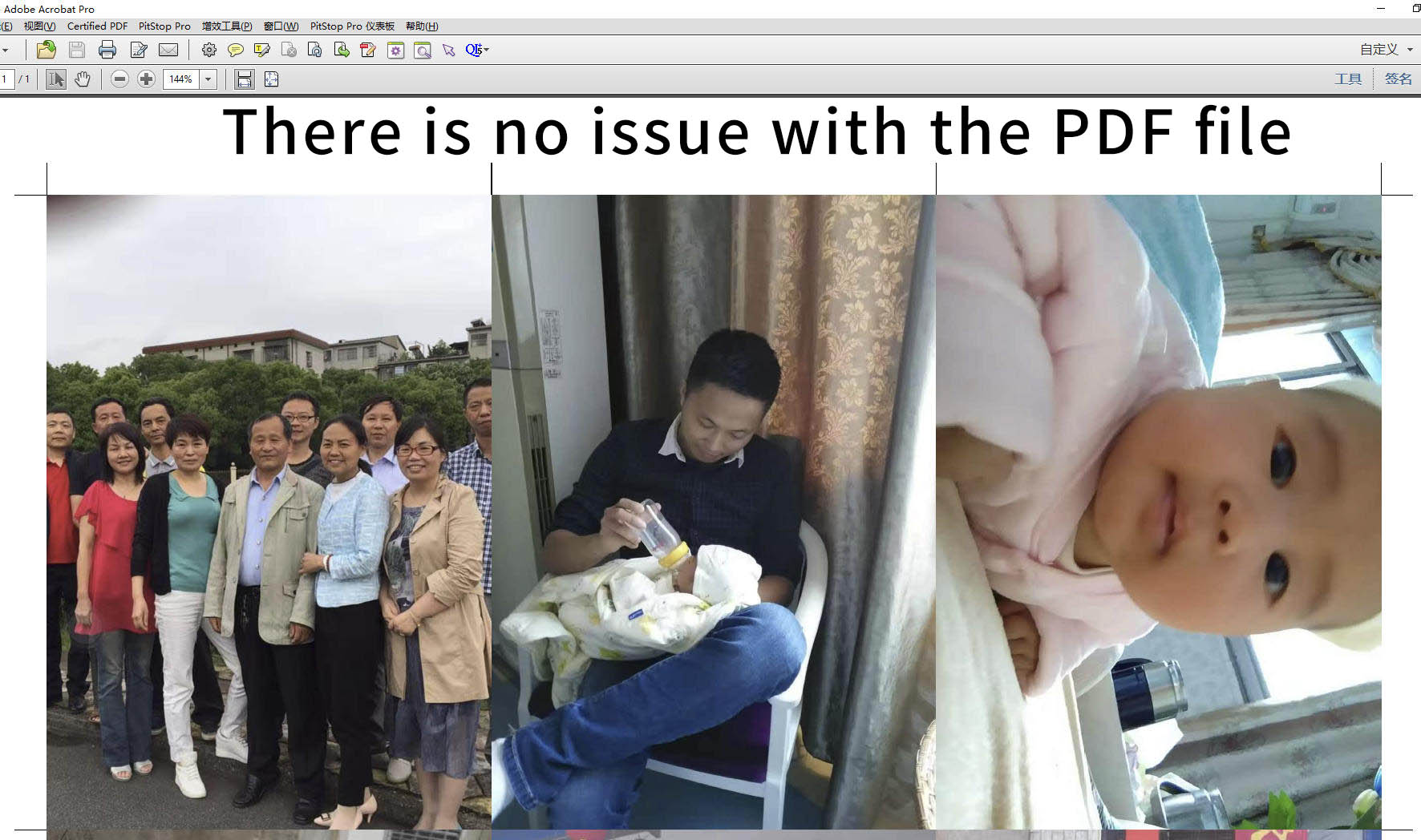 pdf.jpg